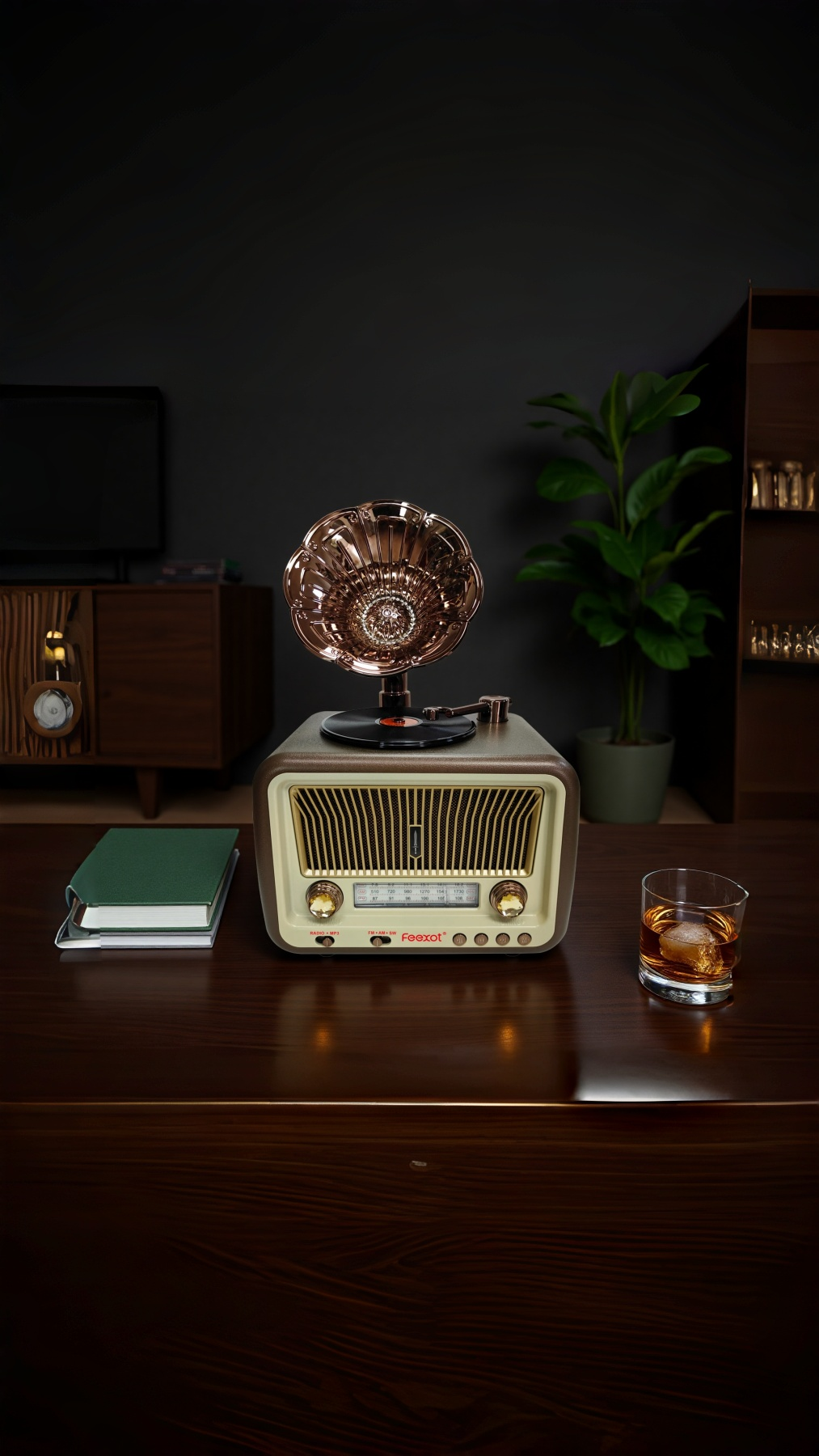 Gramophone-style radio